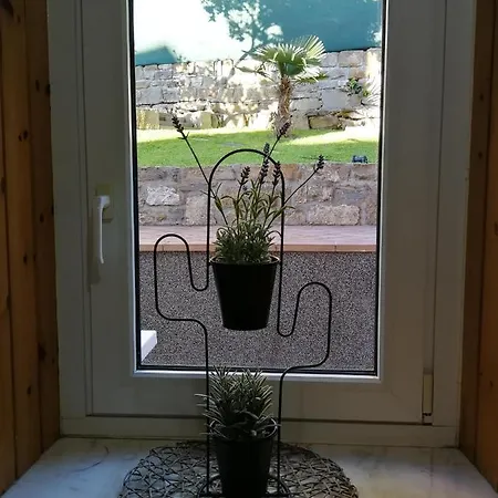 Apartman Apartma Rozi *